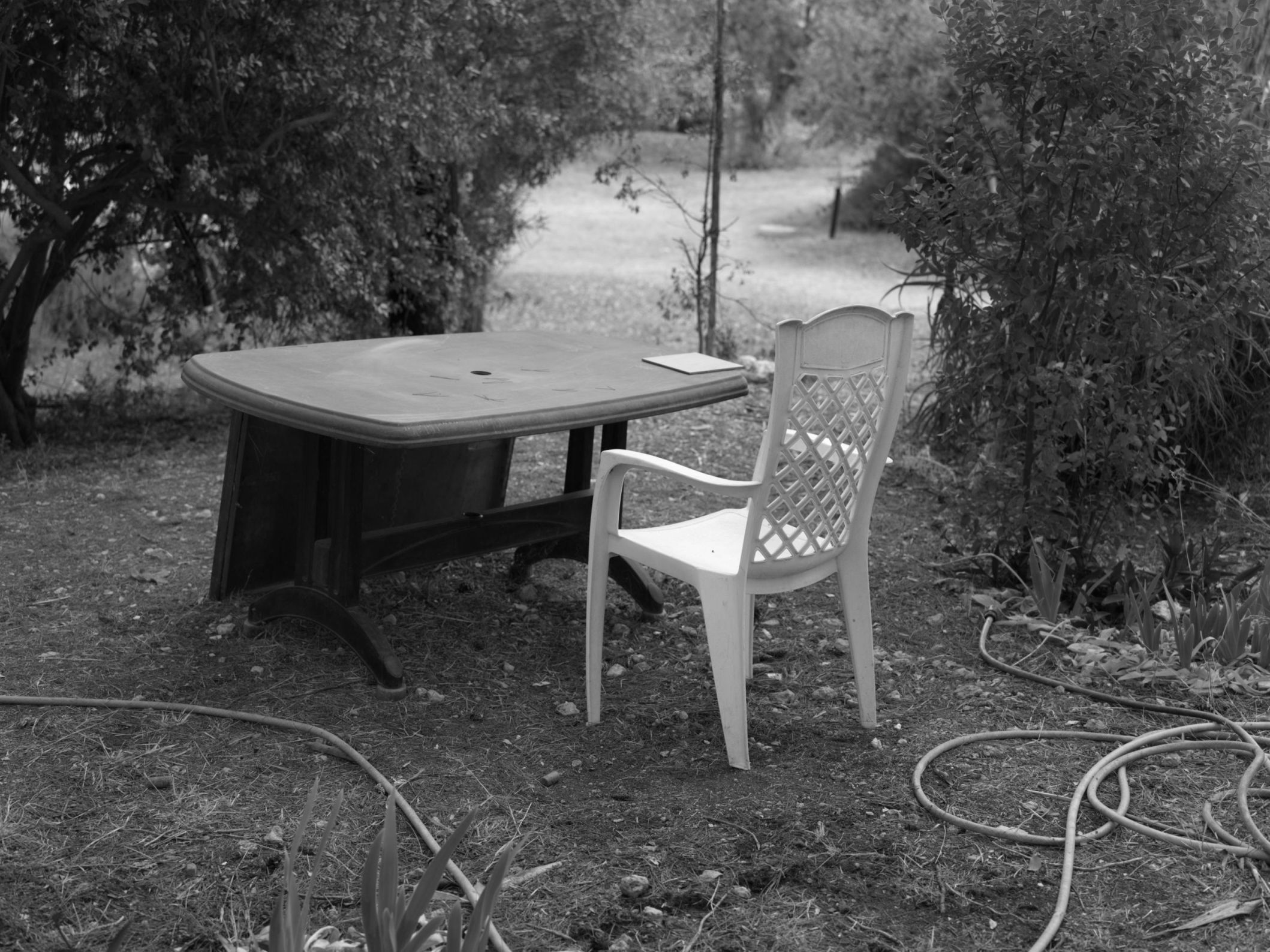 Untitled #2